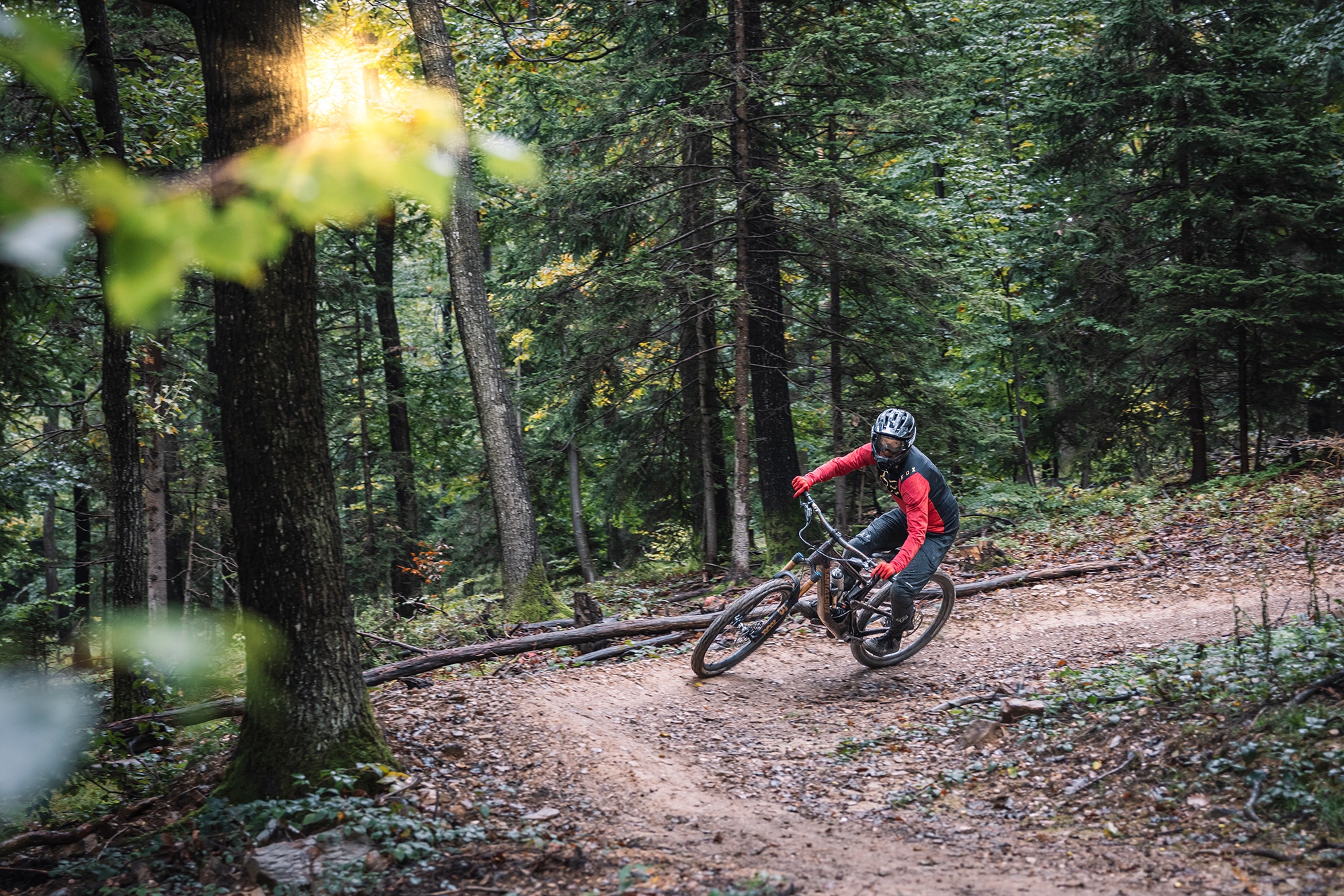 Esterházy Trail